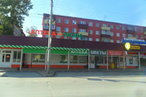 Вывеска на крыше «Аптека Экона», ул. Громова, 16